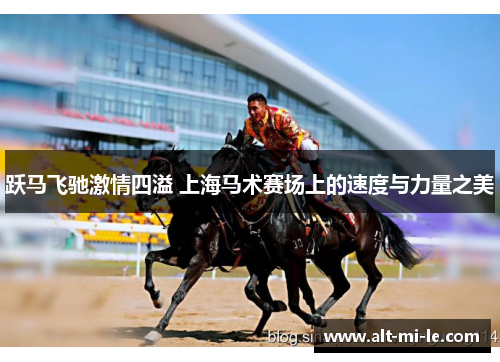 跃马飞驰激情四溢 上海马术赛场上的速度与力量之美